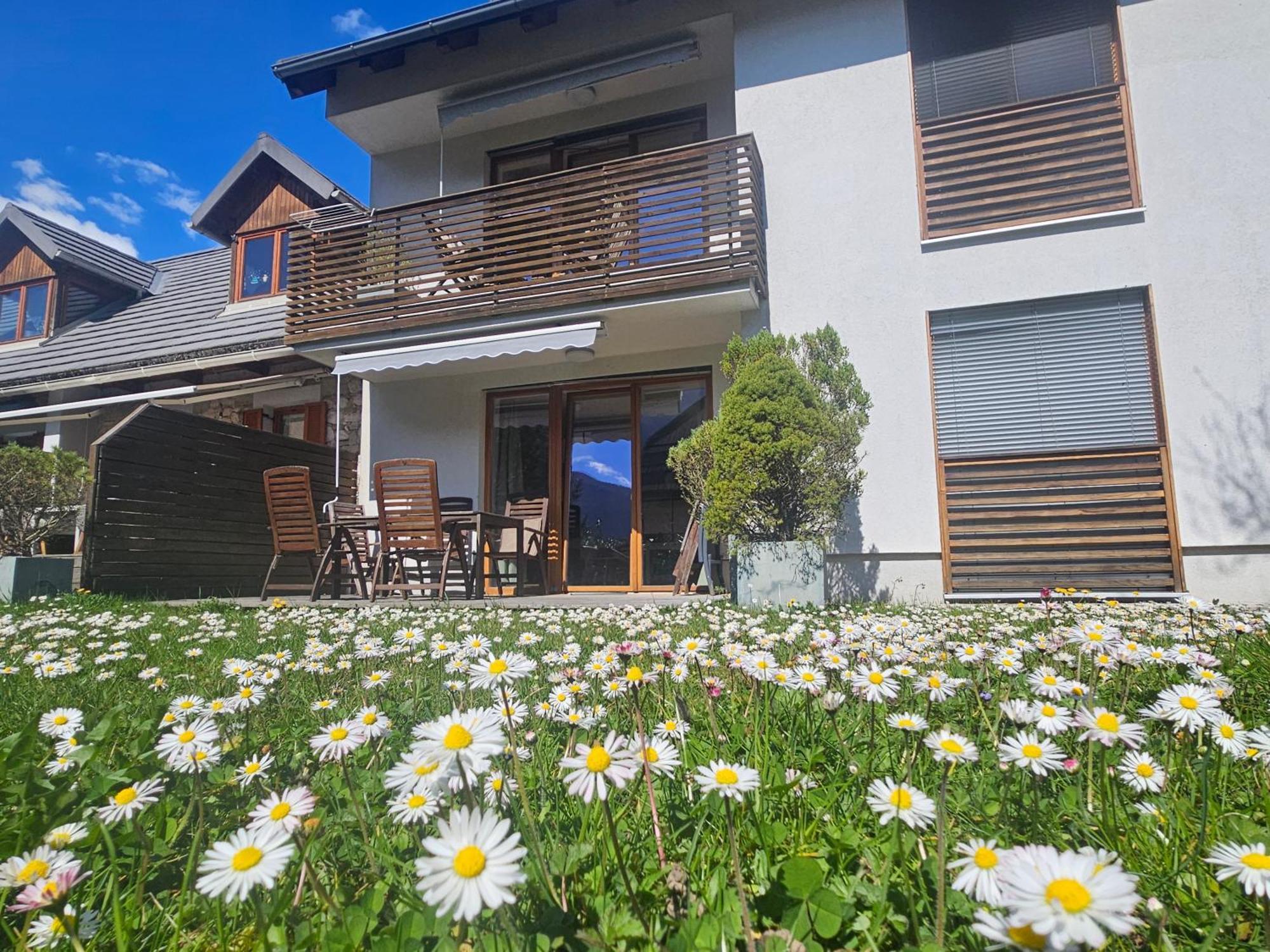 Supermjau Apartmán